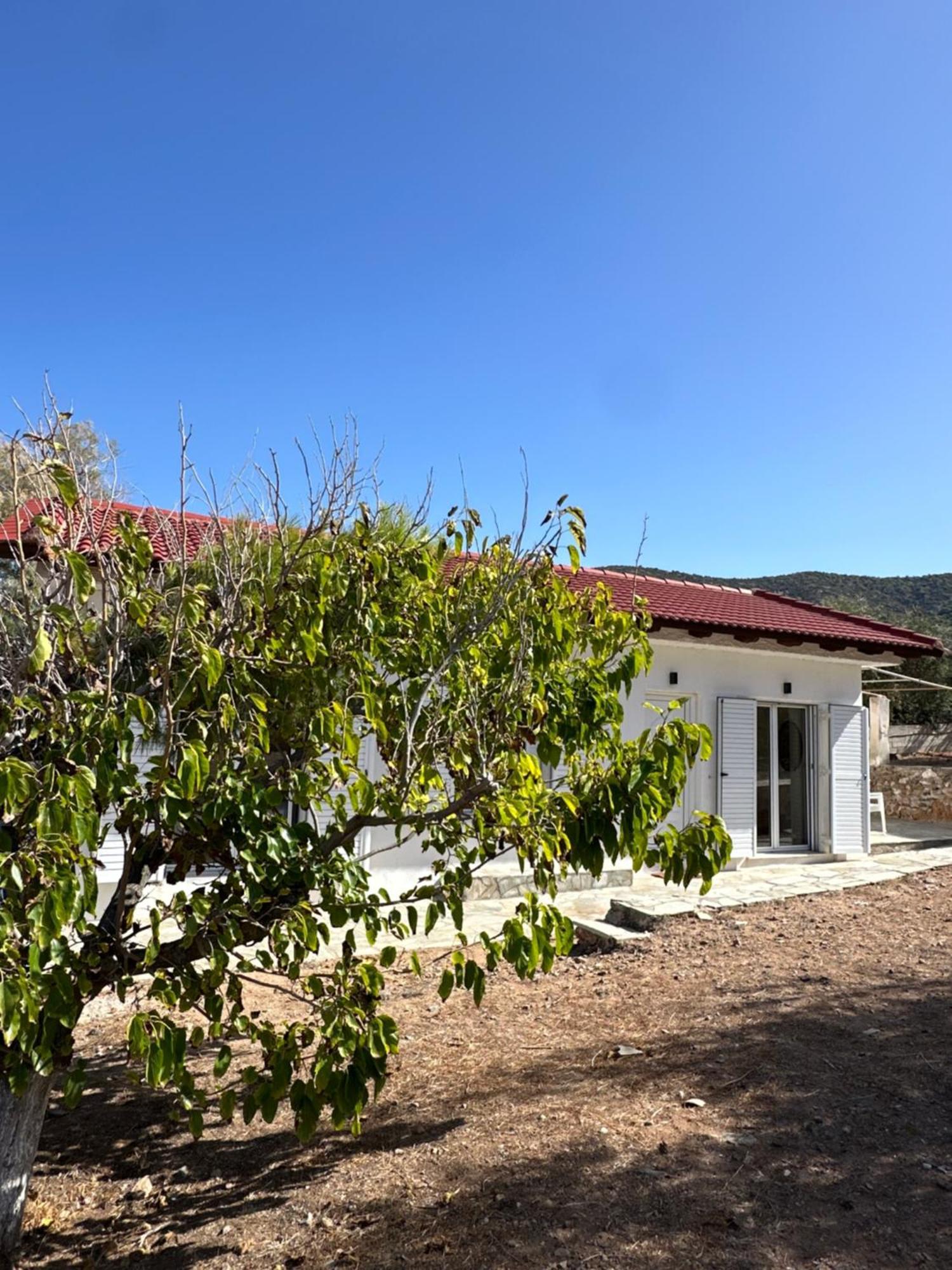 Coast Cottage Porto Rafti-Avlaki Luaran gambar